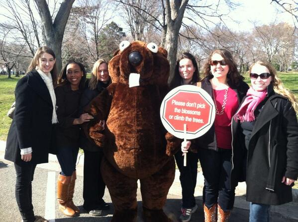 DCThetas's tweet image. Fun at today&apos;s Cherry Blossom Festival! #widestinfluenceforgood