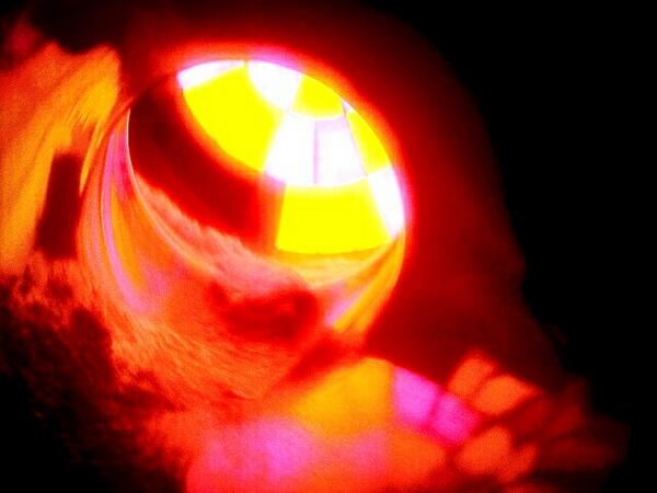 realmekdamack's tweet image. Snuck my phone in to take a picture, of the inside of my favorite ride (:
 #WolfTour #Tornado #PhoneSafe✔