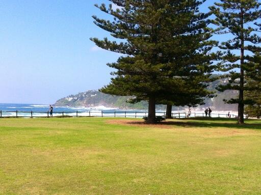 daw09158644's tweet photo. So gutted they weren't filming! #palmbeach #homeandaway http://t.co/be7UKypa5i