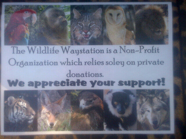 RT @josiahjtubbs: The @WWaystation needs help! Call 8188995201 for more information! http://t.co/4wK<a class="tags" target="_blank" title="On Twitter" href="/?out=eyJ0eXAiOiJKV1QiLCJhbGciOiJIUzUxMiJ9.eyJpYXQiOjE3MjMxOTE5OTIsImlzcyI6InR3cG9ybnN0YXJzLmNvbSIsIm5iZiI6MTcyMzE5MTk5MiwiZXhwIjoxNzU0NzI3OTkyLCJyZWRpcmVjdF91cmwiOiJodHRwczovL3R3aXR0ZXIuY29tL2pvc2lhaGp0dWJicyJ9.c772vuIgdwC48M58rGIJyfKHIPJK34umeIhdtQvpj55_f0s97GE72ujQw3reflo4PQ81OZhCEBrH8ras3DsSLQ">@josiahjtubbs</a><a class="tags" target="_blank" title="On Twitter" href="/?out=eyJ0eXAiOiJKV1QiLCJhbGciOiJIUzUxMiJ9.eyJpYXQiOjE3MjMxOTE5OTIsImlzcyI6InR3cG9ybnN0YXJzLmNvbSIsIm5iZiI6MTcyMzE5MTk5MiwiZXhwIjoxNzU0NzI3OTkyLCJyZWRpcmVjdF91cmwiOiJodHRwczovL3R3aXR0ZXIuY29tL1dXYXlzdGF0aW9uIn0.g7hC2i2Xy8kk4xVpVBR2COIMeLqBtv2KwQg9RqAVTE_Xdahs-aXQylV25UUY9l8cJW0iAxMU1GztZ0TMpEMJTg">@WWaystation</a><a href="/tag/theavgirls"class="tags"><span>#theavgirls</span></a>