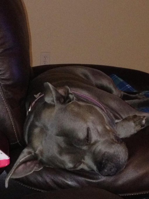 My little girl is passed out! Time for me to go to bed too. Chat tomorrow. http://t.co/aS3jmxhh9o<a href="/tag/amazon"class="tags"><span>#amazon</span></a><a href="/tag/spoiled"class="tags"><span>#spoiled</span></a><a href="/tag/wishlist"class="tags"><span>#wishlist</span></a>