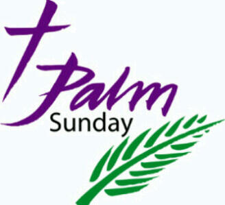 eberecares's tweet photo. Happy palm sunday my neighbour!!! http://t.co/g9NveWuvrW