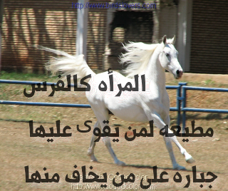 mooon089 tweet picture