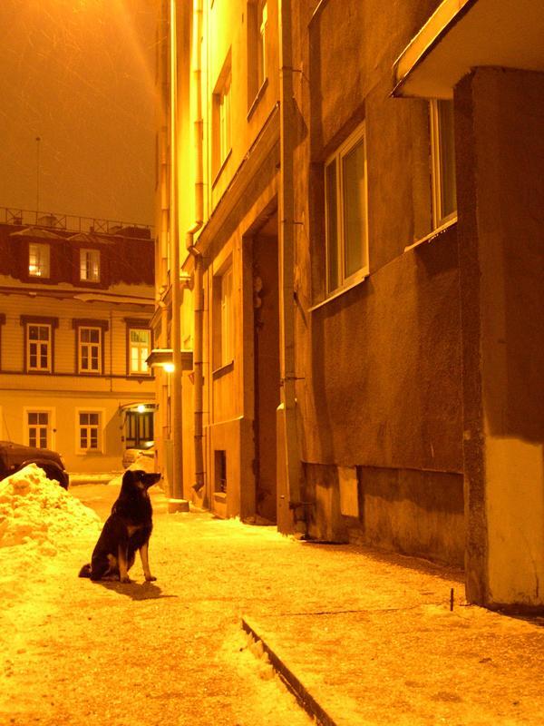 DareToLight's tweet image. Photo blog: Streetlights save on colour rendering. The house is grey, the snow is white, the... http://bit.l…