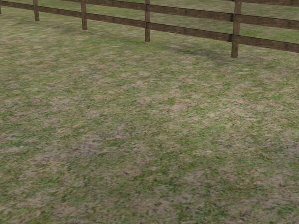 Check out my photo! Add me, ShowyScion132. #MyHorse nmgam.es/horse_twitter