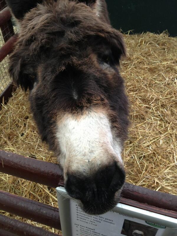 Natalie Jayne Lawlor tweet media