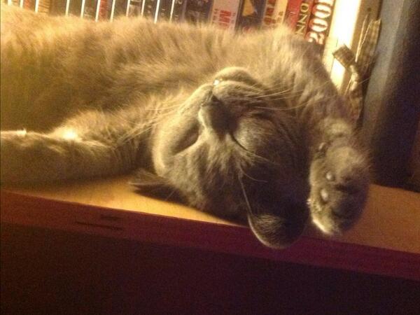 catcalledthomas's tweet image. Thomas sleeps...