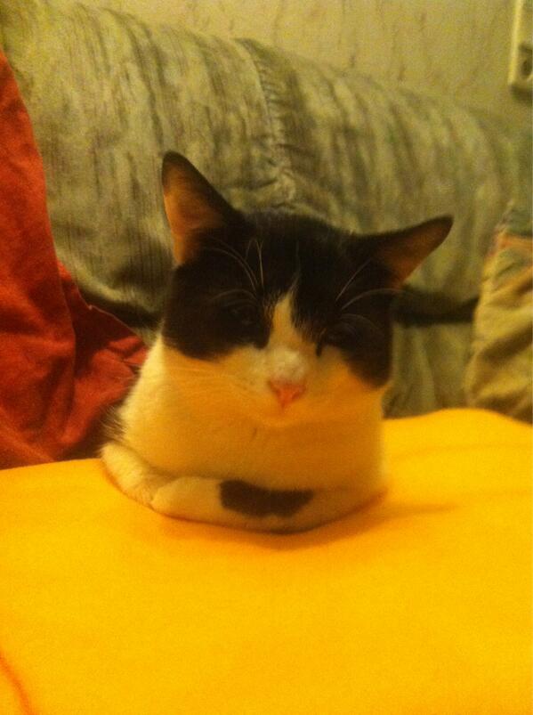 MonsterTVupload's tweet image. Da schläft er ein :) der kleine Mann