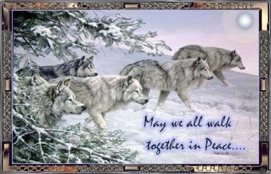 Gary Jorgensen tweet media