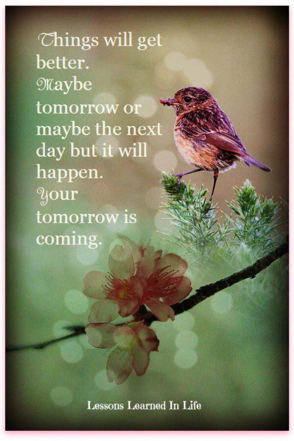 OneSimpleJulie's tweet image. Things will get better...