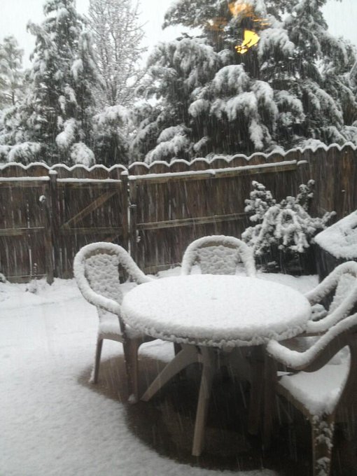 holi_snow