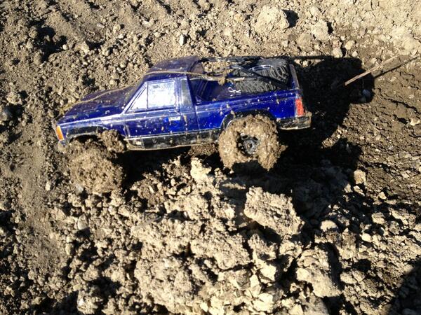 ScaleNation1's tweet image. 