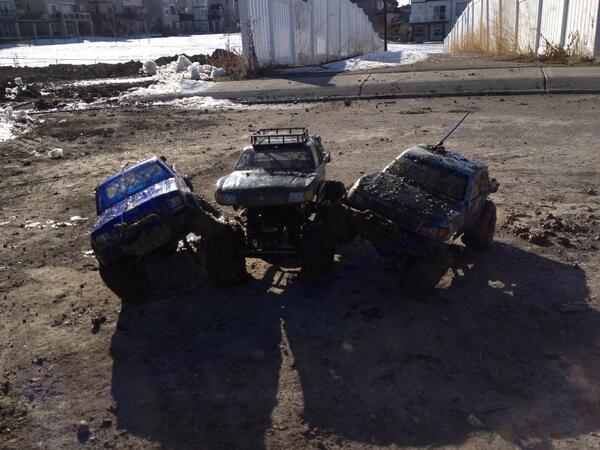 ScaleNation1's tweet image. 