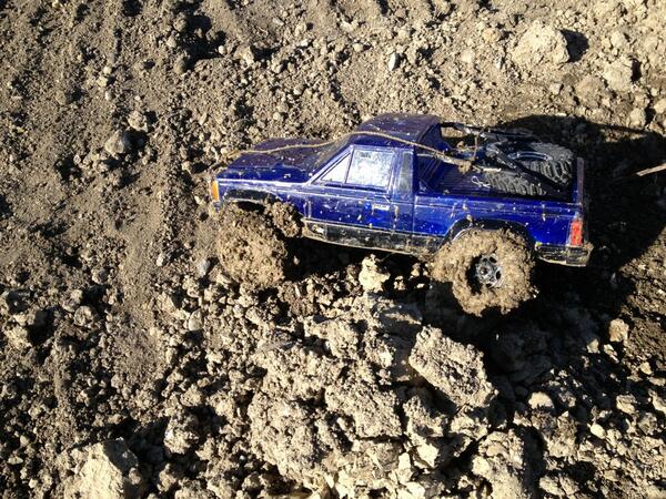 ScaleNation1's tweet image. 