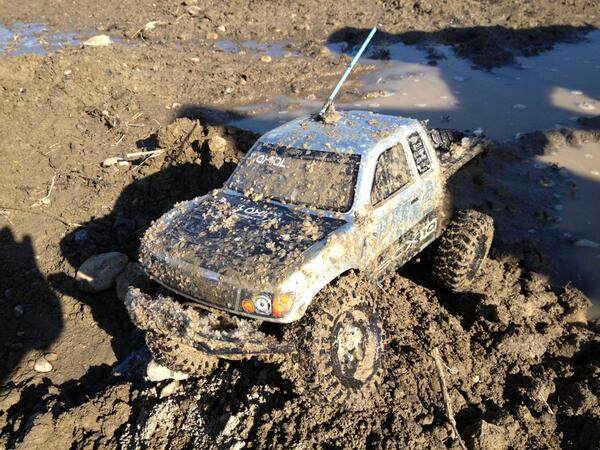 ScaleNation1's tweet image. 