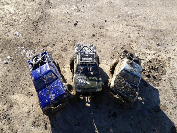 ScaleNation1's tweet image. 