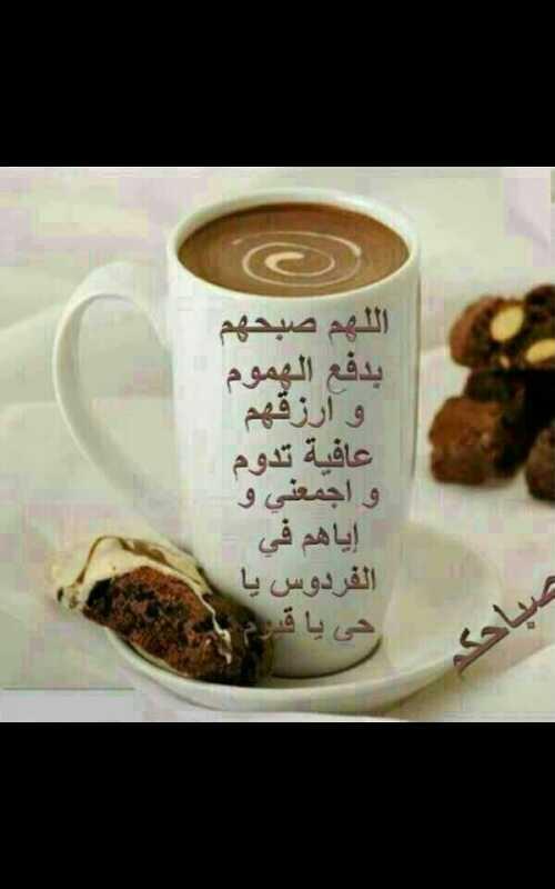 memo_ksa500 tweet picture