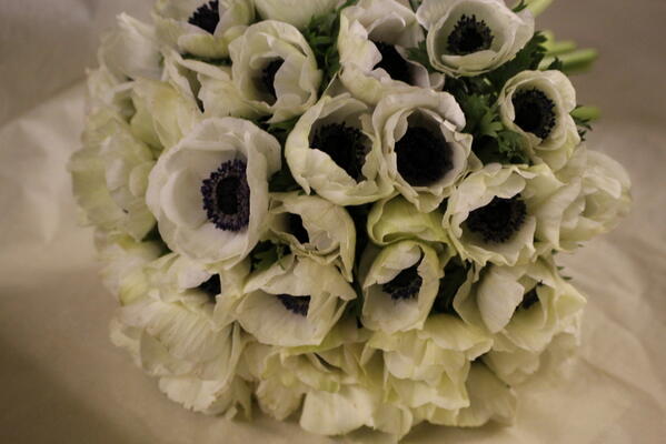 Fine Flowers Company tweet media