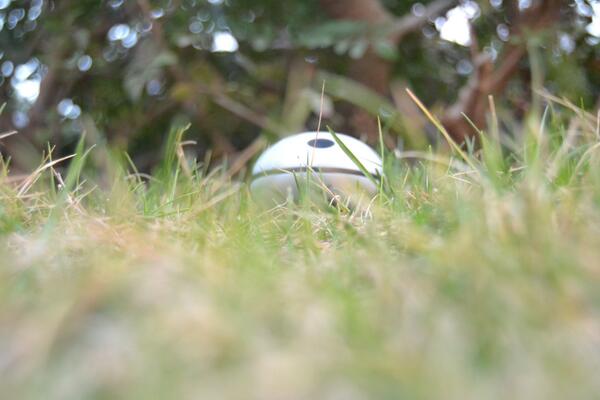 PlantSensor's tweet image. Alguien se encarga del cuidado de las plantas y cultivos por nosotros ... #plantsensor galtel.es/plantsensor/wi…