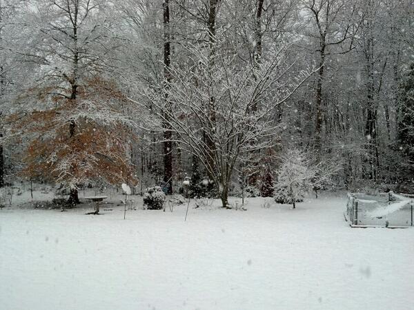 mx5d's tweet image. Happy Spring!   We didn't get this all Winter!