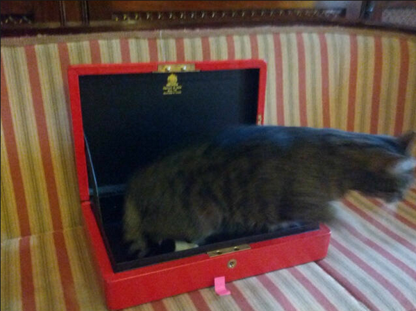 FraserNelson's tweet photo. This picture, tweeted by @GeorgeOsborne, proves that someone has finally found a use for his #EmptyBudget http://t.co/lcBUtmrrKU