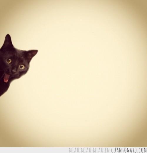 8x20thebloodfromthestones