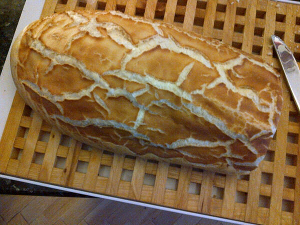 mollymorganX_'s tweet image. soooooo nice #tigerbread