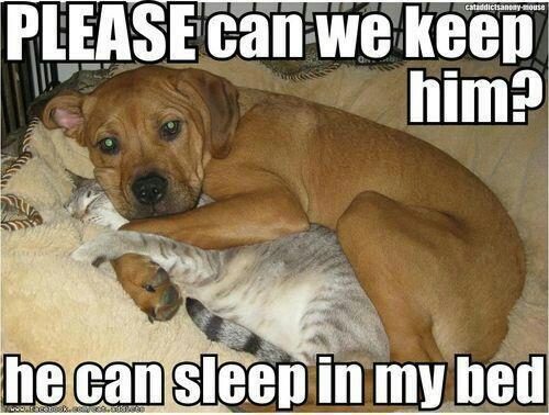klouise90's tweet photo. Soo cute :) http://t.co/ovc77YHGHh