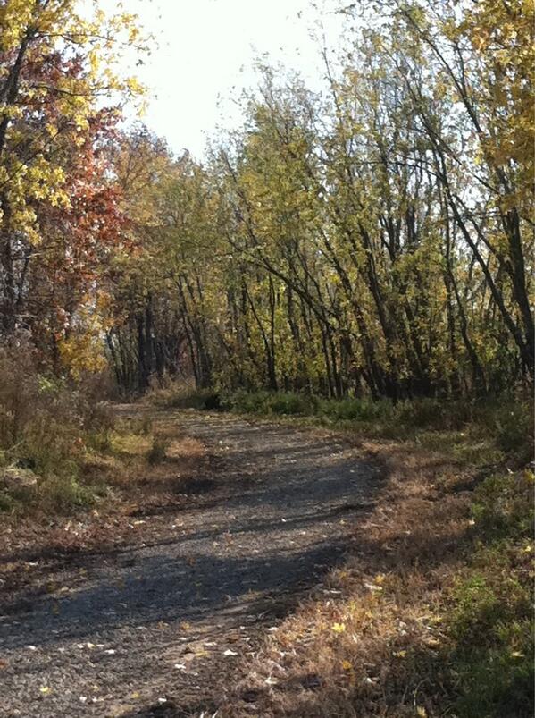 ScottPezent's tweet photo. This is a cool pic I took while walking to my stand while hunting @CountryLodge08. #awesome http://t.co/O7OVraHUyK