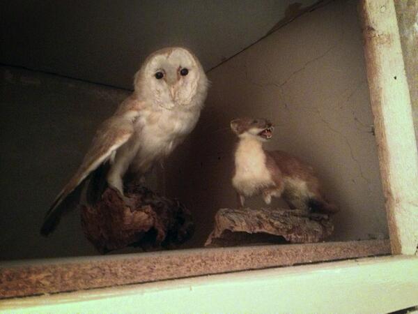 jakewtyoung's tweet photo. Go to your grandparents house and open a cupboard. #oldpeoplefun http://t.co/cLjlDOGiGl