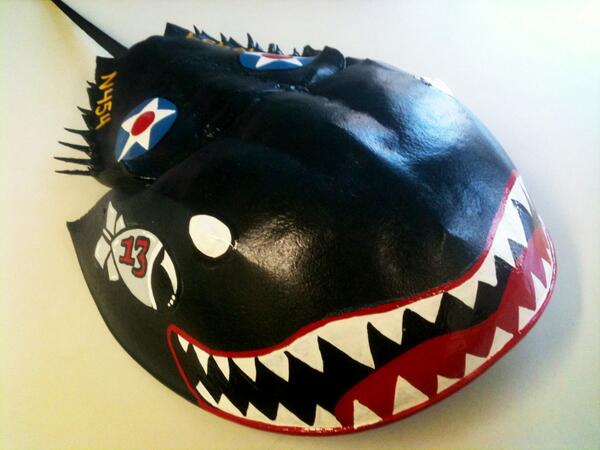 JMKustoms's tweet photo. #handpainted #1shot #mack #pinstriping http://t.co/owJ0aqROhv