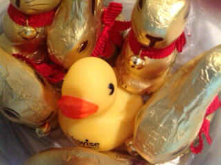 Lifewise2's tweet photo. @LindtAustralia @Lindt #easter #competitions about to take place on our Facebook page - good luck to everyone! http://t.co/l3OvyoUX1H