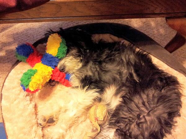 Sleepy time!!!