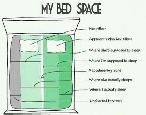 Callum15's tweet image. Truth! #bedproblems