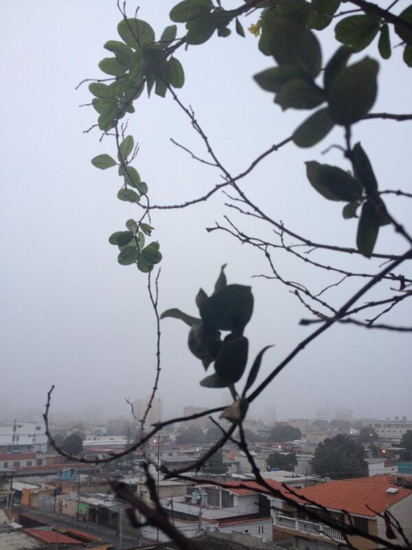 Mircoba's tweet image. Muy fresca y nubladita esta mañana. Feliz día.