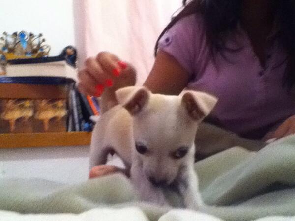RedSunglasses's tweet photo. Nueva integrante :3 http://t.co/ZuU4PZoafJ