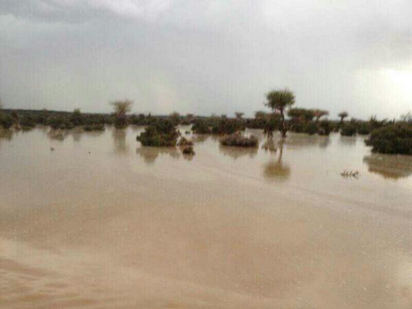 TrabhNet's tweet photo. امطار الرويضات اليوم عصرآ http://t.co/oyjMiEsQWo