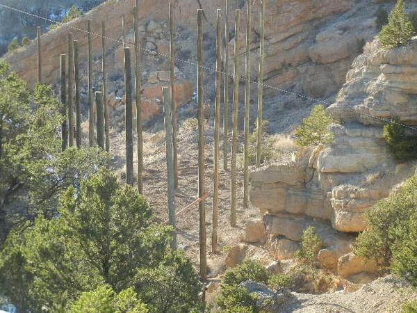 #aerialpark in progress, most of the 60 ft poles in place, captain #zipline soon to have an #adventurepark. !!!