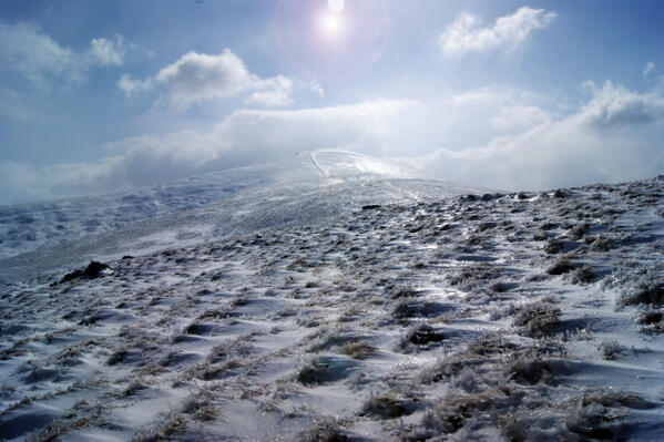 LeedsPsychoGeo's tweet photo. @LeedsPsychoGeo on tour : Ascent to the #summit #Wales #Snowdonia #MoelEilio #psychogeography http://t.co/O4ksHQZwtY