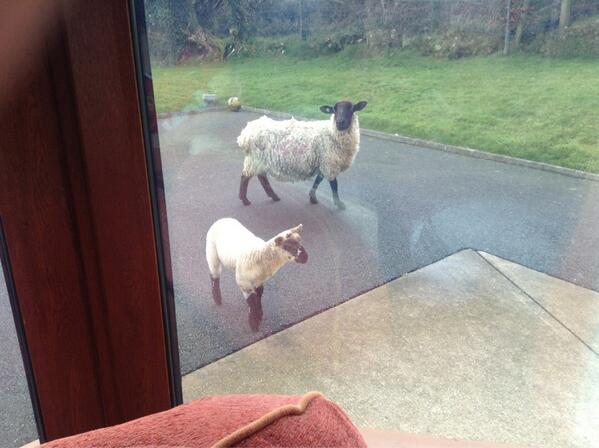 Adam_Browne4's tweet image. #CountryProblems