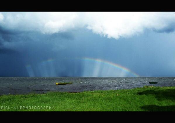 Ricardo Achucarro tweet media