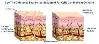 WrapsByD's tweet image. Truth right here:
#ItsNotComplicated #fatloss #weightloss #wellness #exercise
