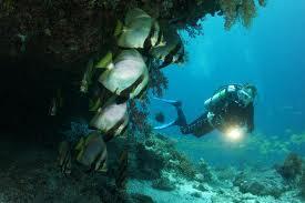 jalan2indon's tweet photo. Raja Ampat was waiting for you to come :D http://t.co/T9BzTVb4b3