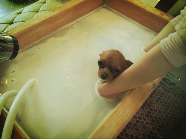 mi0413jin's tweet photo. 은동이 스파.... http://t.co/eJ4zwLKQhW