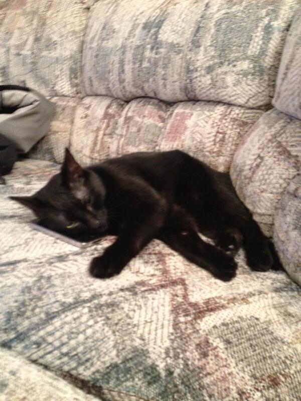 dirtypaws83's tweet photo. Nah man I'm just takin it easy tonight... http://t.co/4IiB0tJfL1
