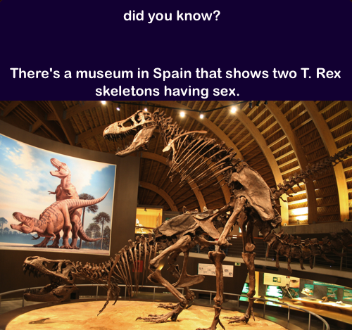 infosforyou's tweet photo. Did You Know? http://t.co/x79YZAwAEd