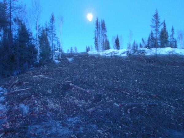 Embedded image permalink