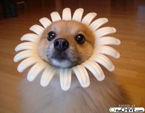 What captions can you come up with for this photo?