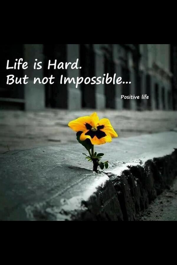 OneSimpleJulie's tweet image. Life is hard.