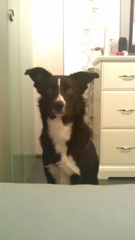 Snaptec's tweet image. Na, na, darf ich?😂😂